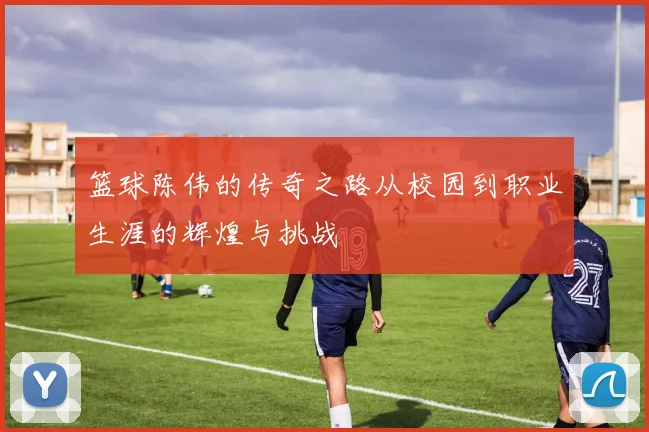 篮球陈伟的传奇之路从校园到职业生涯的辉煌与挑战