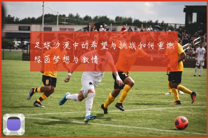 足球沙漠中的希望与挑战如何重燃绿茵梦想与激情