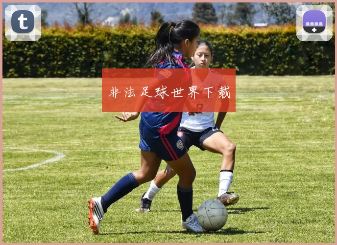非法足球世界下载