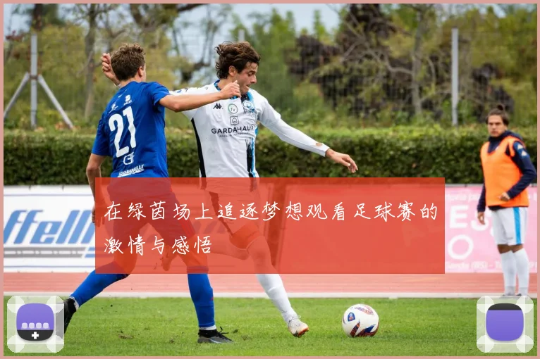在绿茵场上追逐梦想观看足球赛的激情与感悟