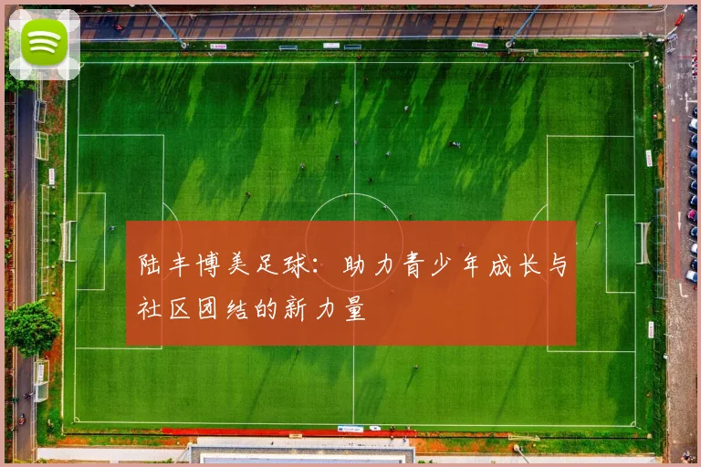 陆丰博美足球：助力青少年成长与社区团结的新力量